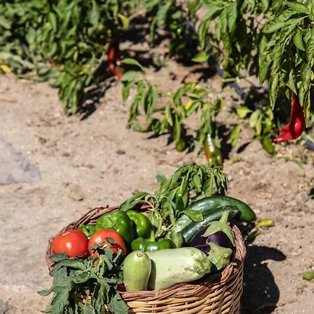 Aqua Breeze On The Casa de Férias Pláka