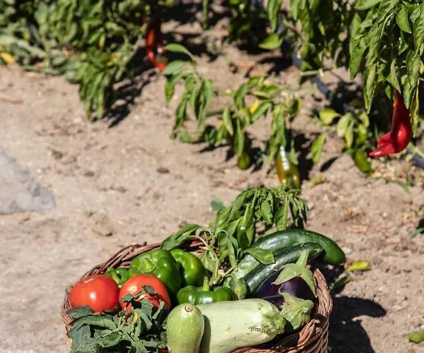 Aqua Breeze Villas Ferienhaus Pláka